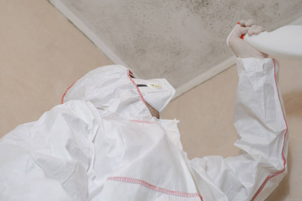 Best Mold Testing and Inspection Services in Addison, WV